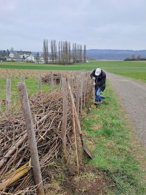 Arbeitseinsatz_2025-03-15