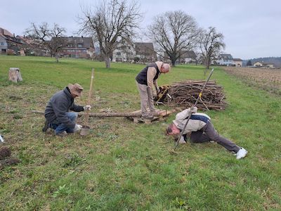 Arbeitseinsatz_2025-03-15