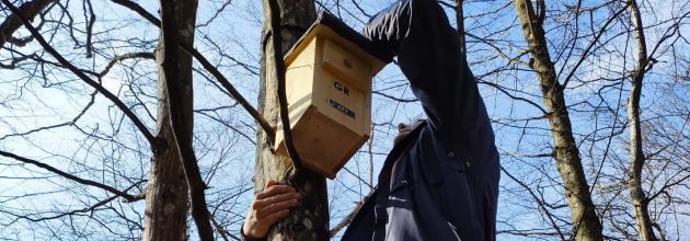Mann prüft Nistkasten für Vögel