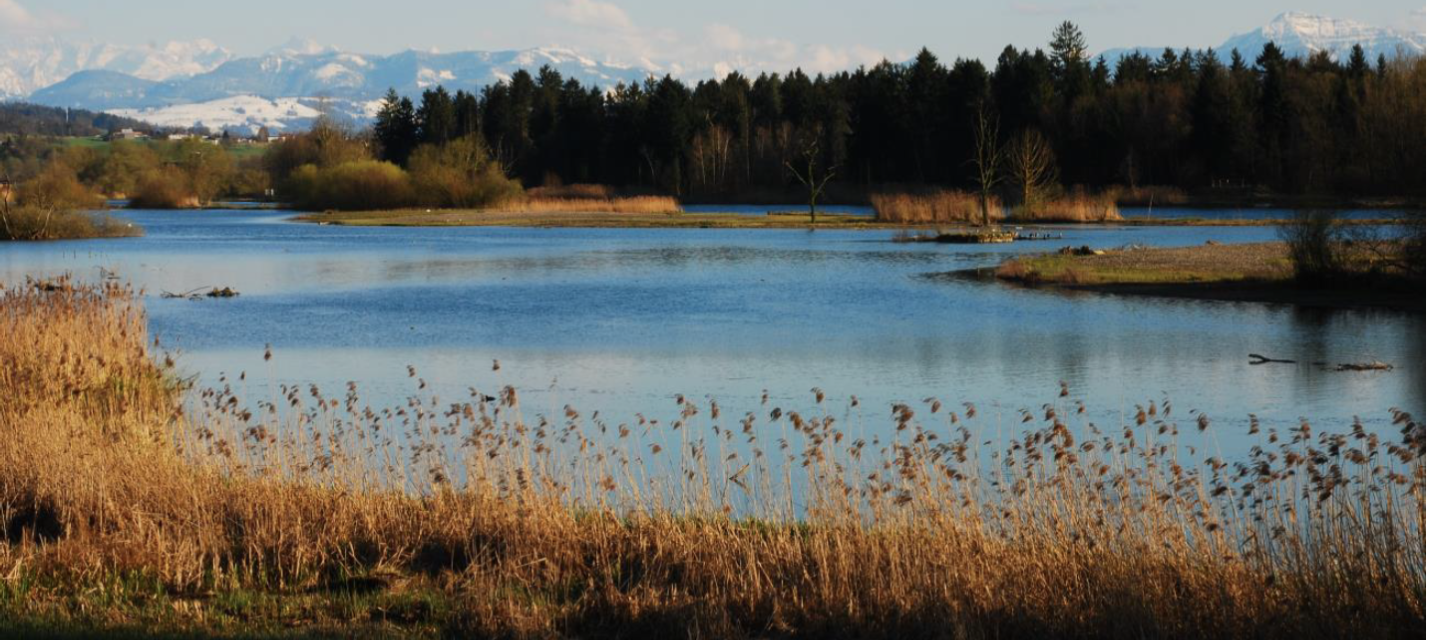 naturschutzgebiet Flachsee bei Rottenschwil