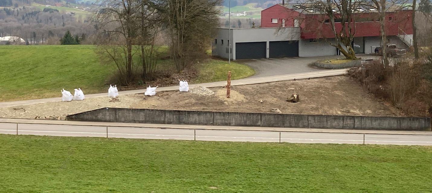 Aufwertungsfläche März 2025