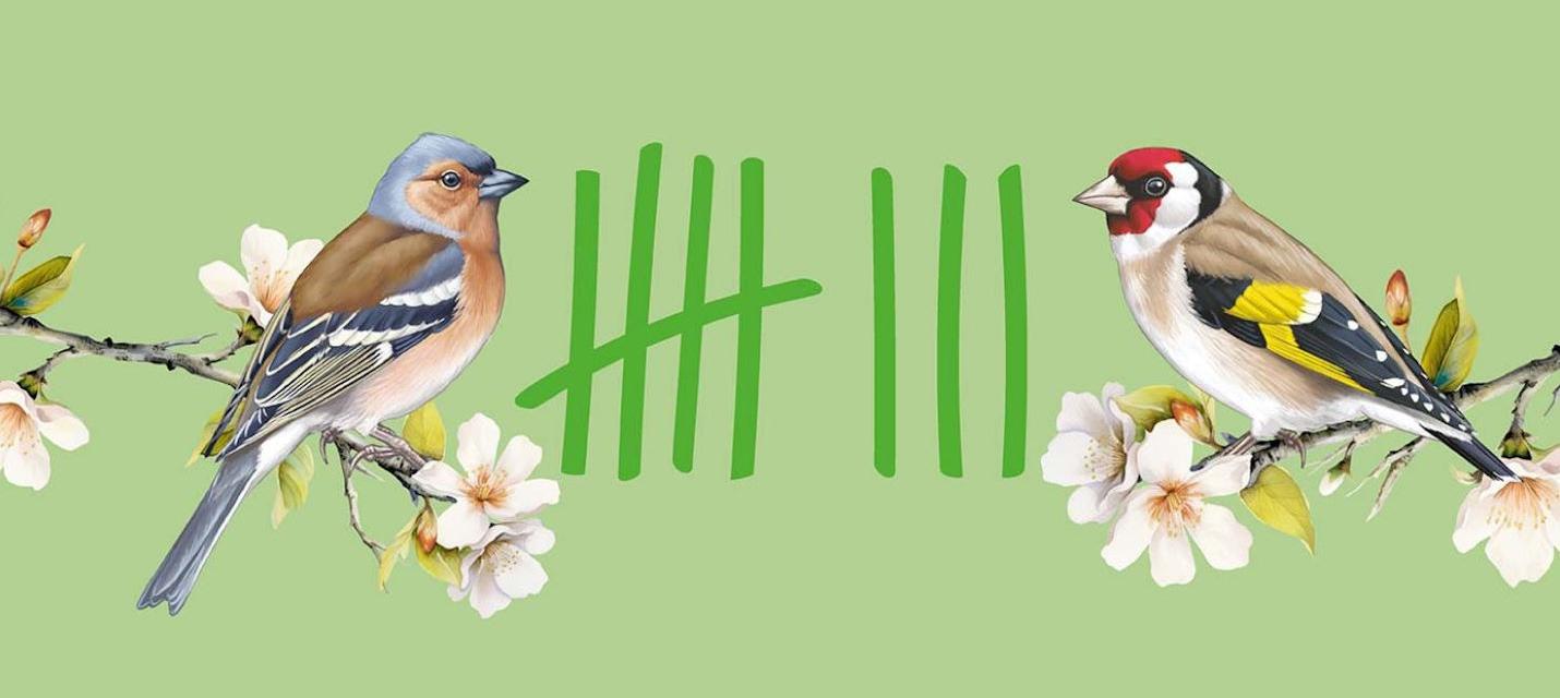Webbanner Stunde der Gartenvögel