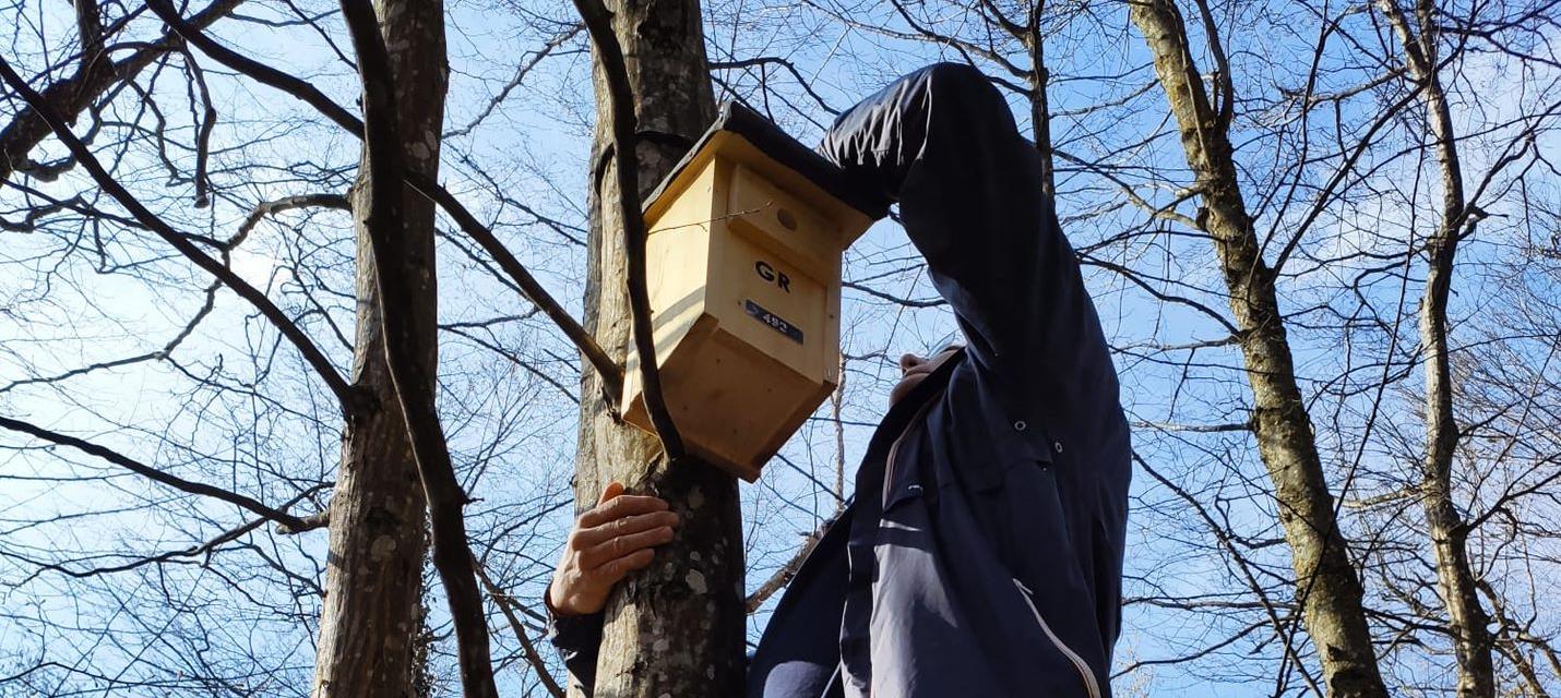 Mann prüft Nistkasten für Vögel